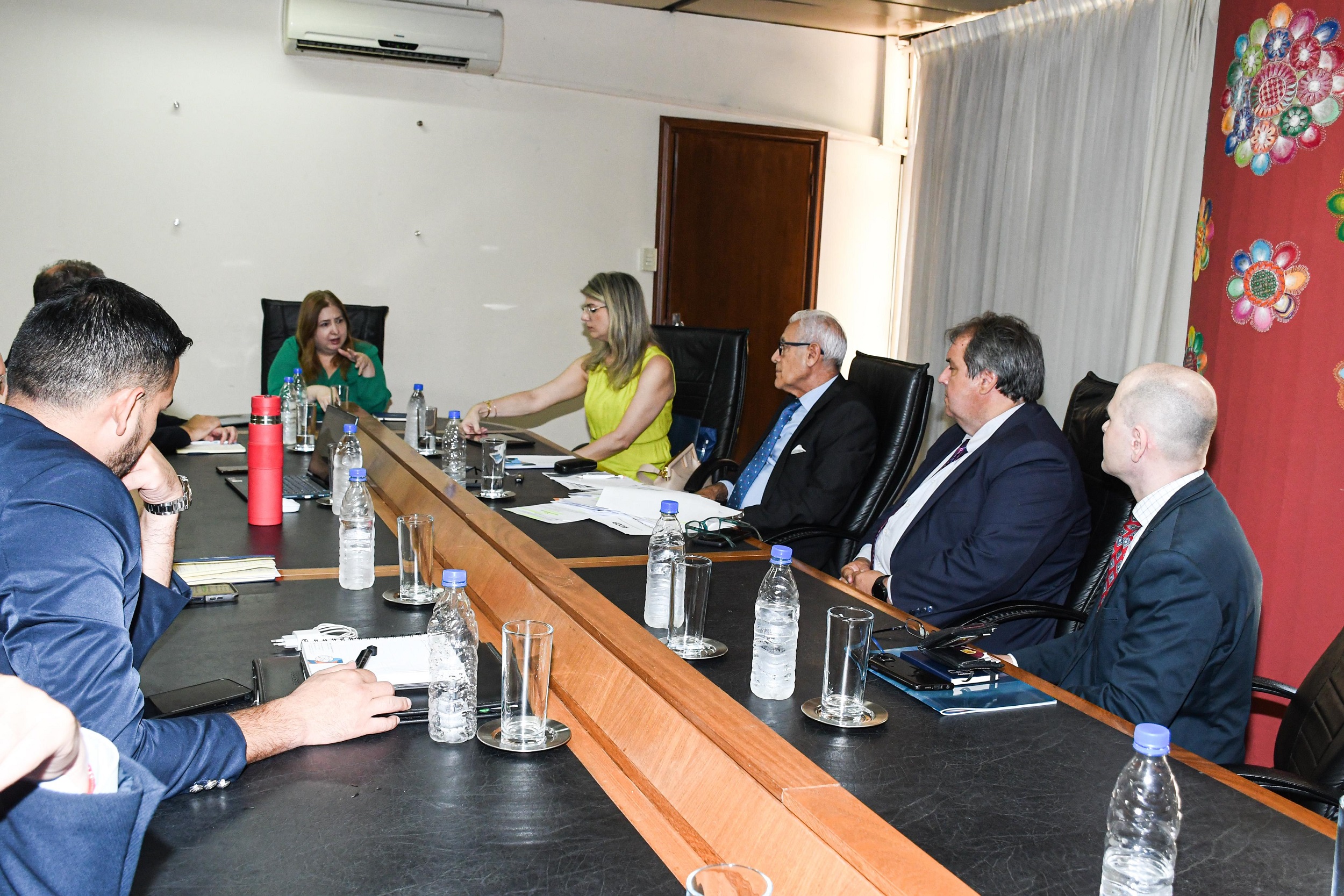 Ministra de la SEPRELAD se reunió con autoridades de la Comisión Financiera del Mercosur 