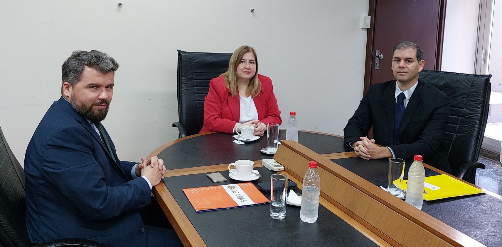 SEPRELAD y OEA DDOT fortalecen lazos de cooperación internacional en la lucha contra el lavado de activos