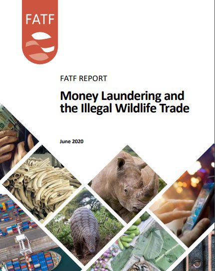 GAFI dio a conocer el Primer Informe Global sobre Lavado de Dinero y el Comercio Ilegal de Vida Silvestre 