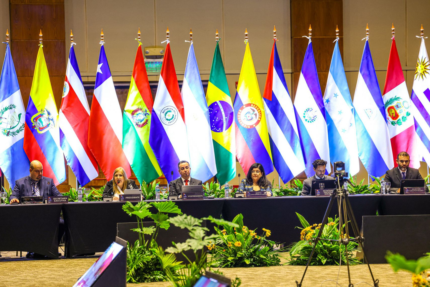 Quincuagésimo Pleno de Representantes del Grupo de Acción Financiera de Latinoamérica (GAFILAT) bajo la presidencia Pro Tempore de la República del Paraguay